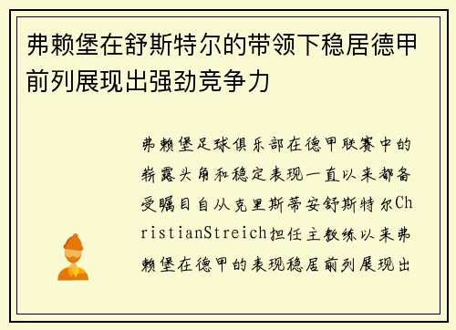 弗赖堡在舒斯特尔的带领下稳居德甲前列展现出强劲竞争力